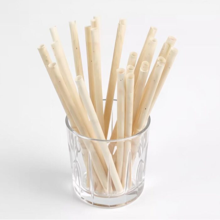 Biodegradable Straws - Image 1